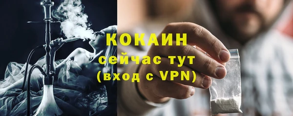 мяу мяу мука Белокуриха