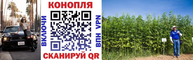 omg tor как найти закладки Первомайск Бошки марихуана марихуана